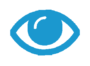 our-vision-icon-png1